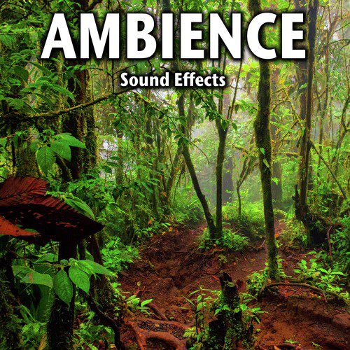 Courtroom Background Crowd Murmur And Reactions, Gavel Song Download