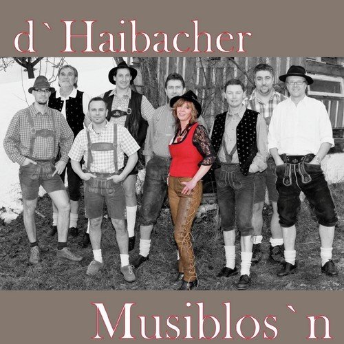 Haibacher Musiblos'n