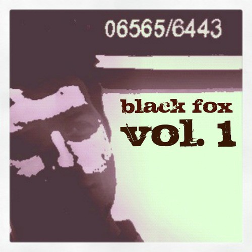 Black Fox, Vol. 1_poster_image