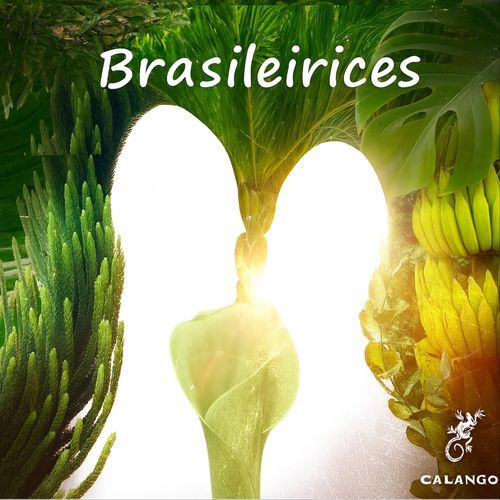 Beto Alfa cover art
