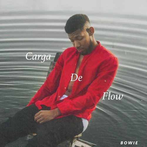 Carga de Flow_poster_image