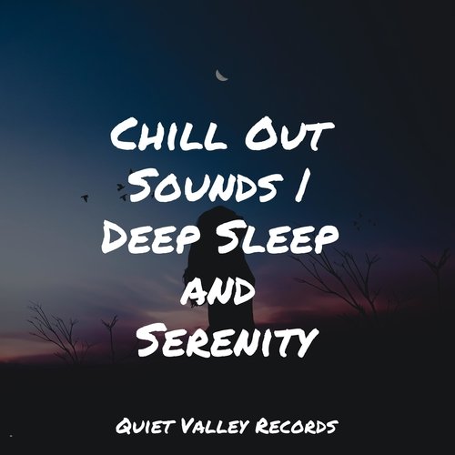 Chill Out Sounds | Deep Sleep and Serenity