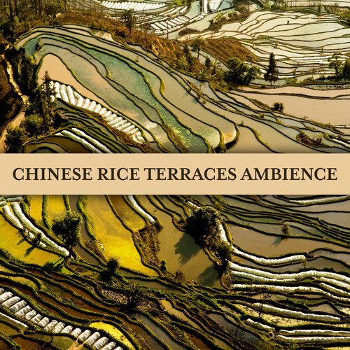 Oriental Scales cover art