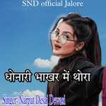 Dhanari Bakhar Mai Thora