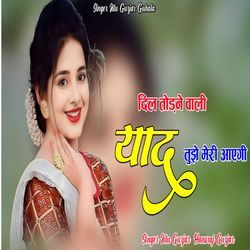 Dil todne vali yaad tujhe meri aaagi