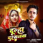 Dulha Dushmanwa