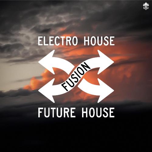 Electro House &amp;amp; Future House Fusion_poster_image