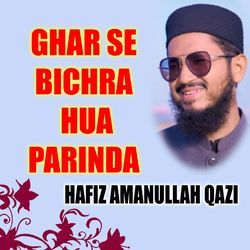 Ghar Se Bichra Hua Parinda-IzsldCN7TXk