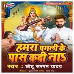 Hamra Pagali Ke Pas Kadi Na