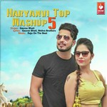 Haryanvi Top Mashup 5