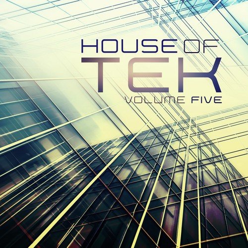 House Of Tek, Vol. 5