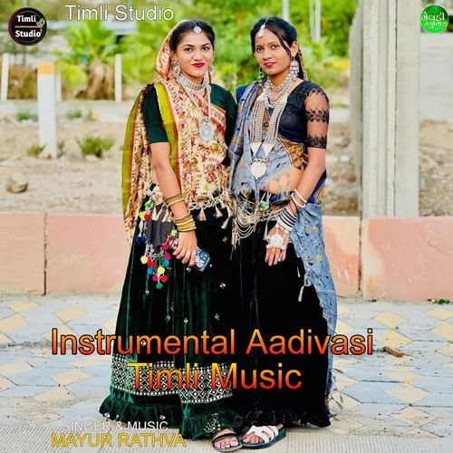 Instrumental Aadivasi Timli Music