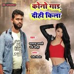 Kauno Gaar DIhi Kila