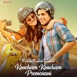 Koncham Koncham Premenani