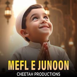 Mefl E Junoon