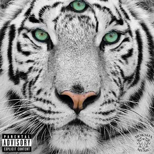 Joyce cover art