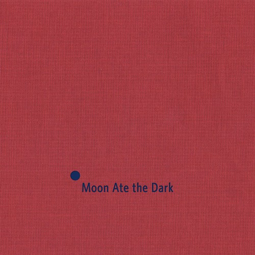 In Fiction cover art