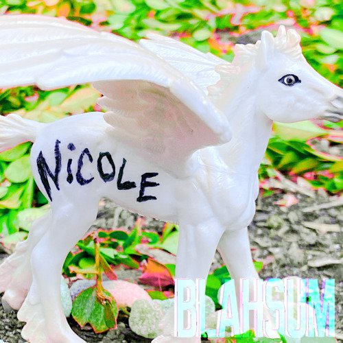 Nicole cover art