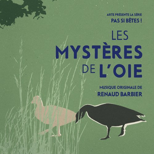 Le manuel de l'oie cover art