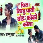 Pila Nimbu Pani Chhoda Koko Kola