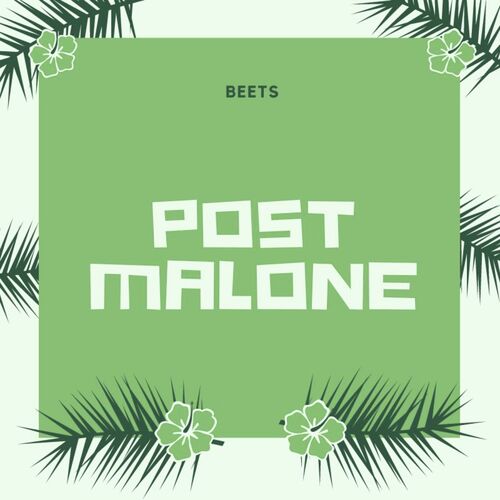 Post Malone_poster_image