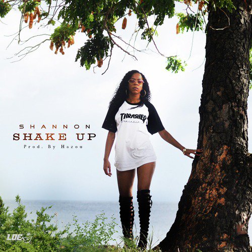 Shake Up_poster_image