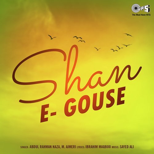 Shan -E- Gouse