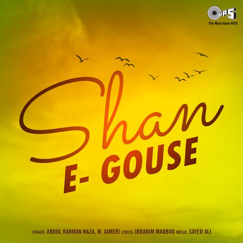 Shan -E- Gouse