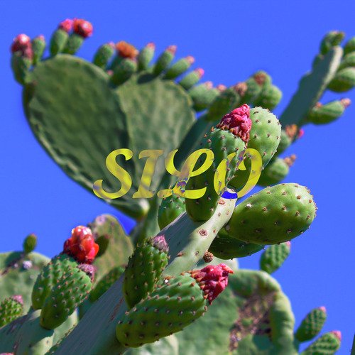 Silo