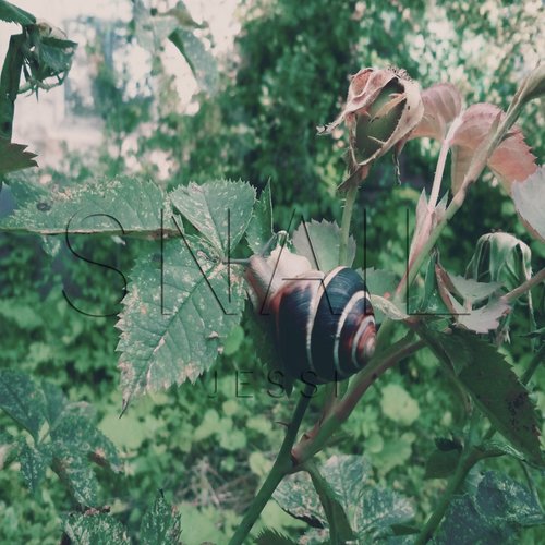 Snail (Instrumental) cover art