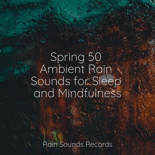 Spring 50 Ambient Rain Sounds for Sleep and Mindfulness_poster_image