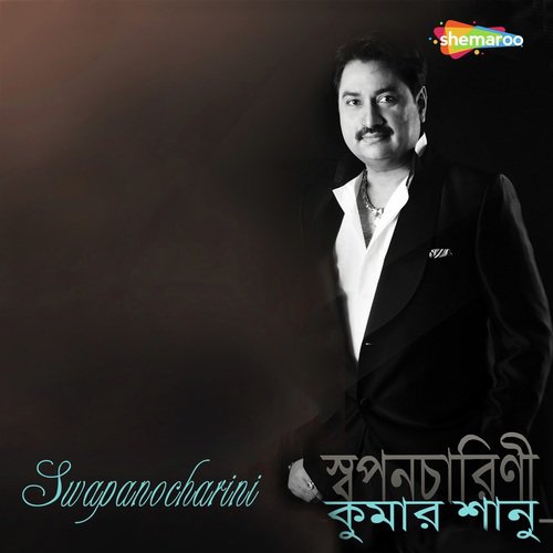 Swapanocharini_poster_image