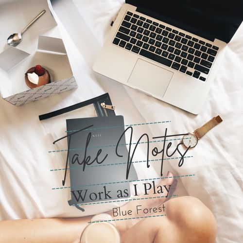 Take Notes - Work as I Play