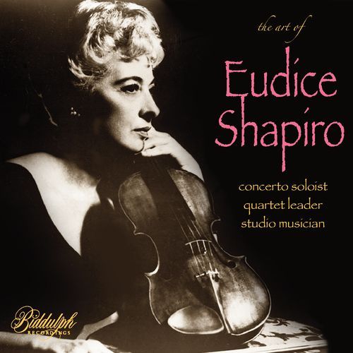 Violin Concerto No. 5 in A Major, K. 219: II. Adagio