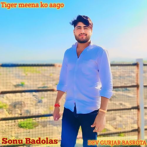 Tiger meena ko aago