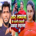 Tor Labharwa Ke Chalau Rangdari Nawada Shahrwa Me