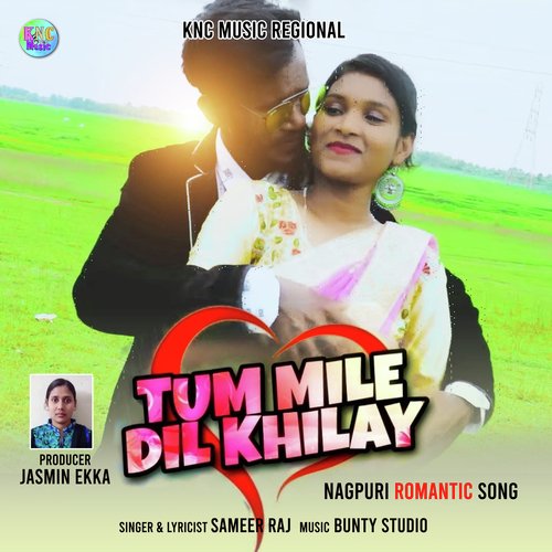 Tum Mile Dil Khilay_poster_image