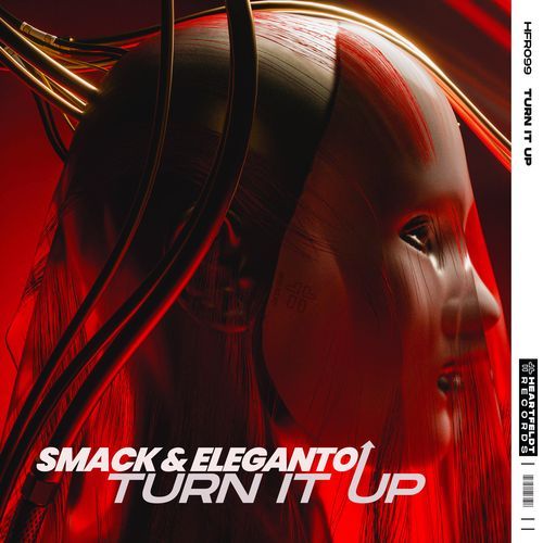 Turn It Up (Extended Mix) (Extended Mix)