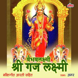 Vaibhav Laxmi Shri Gaj Laxmi-MQE0YhdocXk