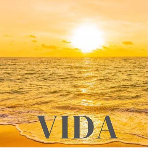 Vida