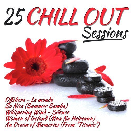 25 Chill out Sessions