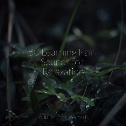 50 Learning Rain Sounds for Relaxation