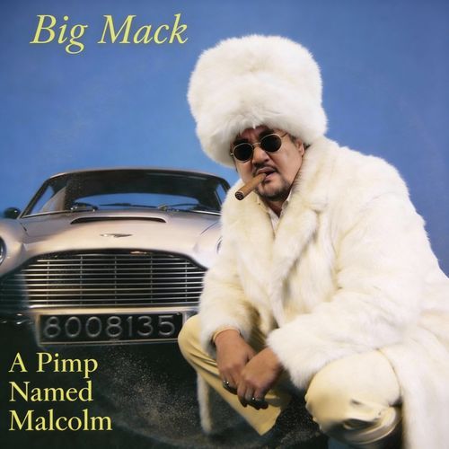 Huge Steppa cover art