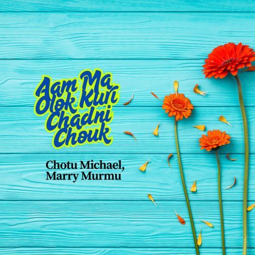 Aam Ma Olok Kuri Chadni Chouk