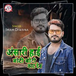 Ansari Ahi Boti Boti Kat Deb