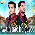 Awain Nahe Ho Gae Ali Ali
