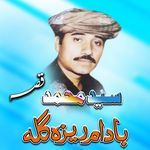 Badam Reza Gula Qessa