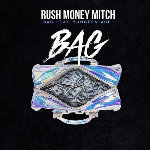 Bag cover art