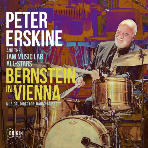 Bernstein in Vienna_poster_image