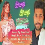 Bheegi Bheegi Dastaan - Rahul Yadav